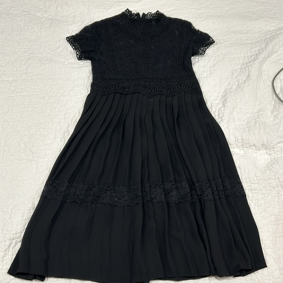 Zara Basics Lace & Pleated Dress - Picture 14 of 14